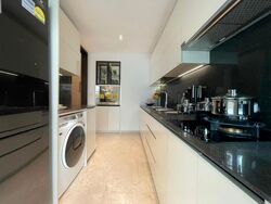 Belgravia Ace (D28), Terrace #614432731